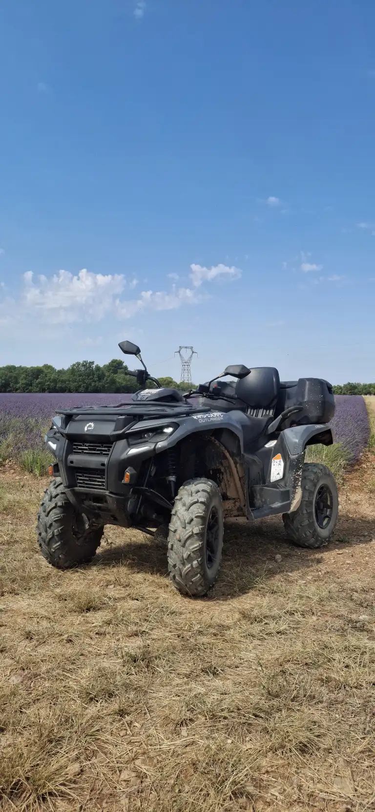 Quad biplace devant un champ de lavande